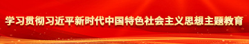 www.鸡巴日B学习贯彻习近平新时代中国特色社会主义思想主题教育